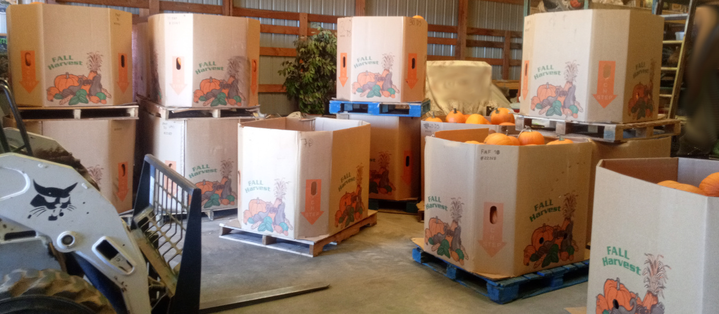 Fall Mountain Farm - Pumpkins In Bins